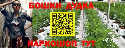 гидропоника Балахна