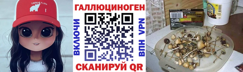 Галлюциногенные грибы MAGIC MUSHROOMS Азов