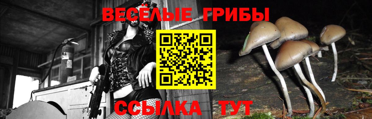 Псилоцибиновые грибы прущие грибы  Вход с VPN  Галлюциногенные грибы Psilocybe  Азов 