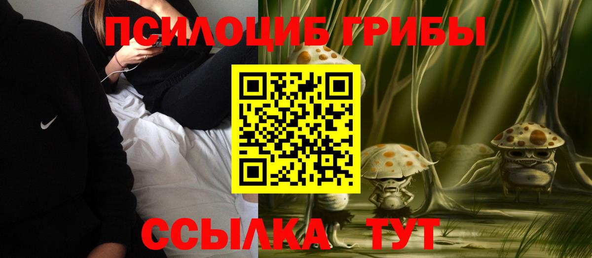 Псилоцибиновые грибы GOLDEN TEACHER Азов